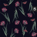 Tapeta Czarny tulipan