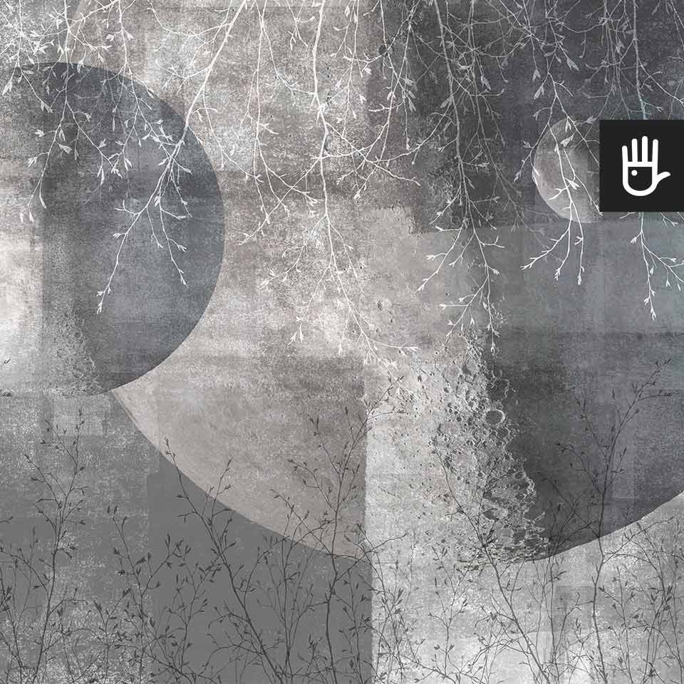 Fototapeta Srebrny księżyc z astronomicznym motywem księżyca i delikatnym akcentem natury w postaci gałązek, w odcieniach szarości.