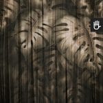Fototapeta Złota monstera