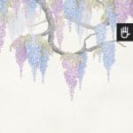 Fototapeta Wisterie