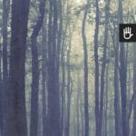 Fototapeta Magiczny niebieski las