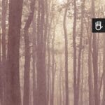 Fototapeta Magiczny różowy las