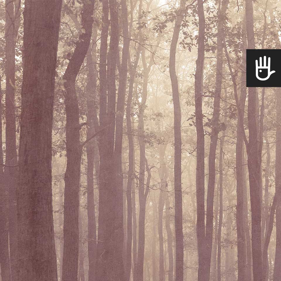 Fototapeta magiczny różowy las deseń w odcieniach różu i beżu