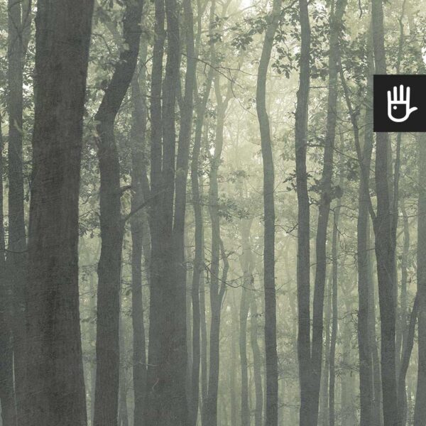 Fototapeta magiczny zielony las deseń w odcieniach zieleni i szarości