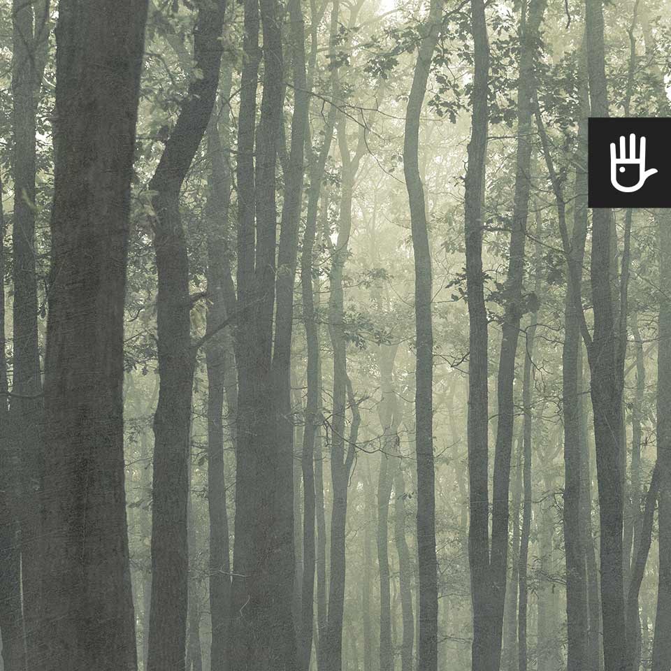 Fototapeta magiczny zielony las deseń w odcieniach zieleni i szarości