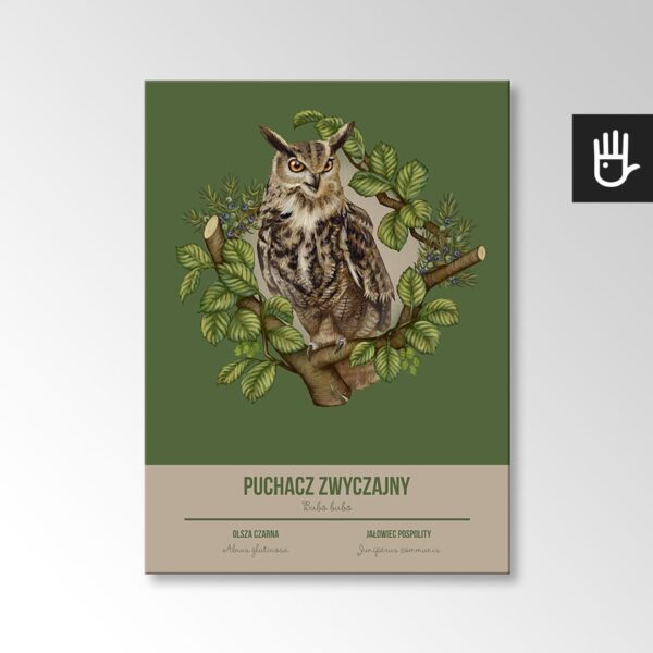 Obraz strażnicy lasu sowa