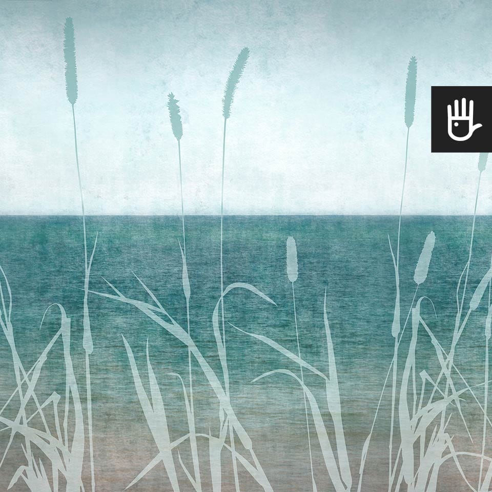 Fototapeta brzeg ciszy z widokiem oceanu i niebieskim kształtem pałek wodnych