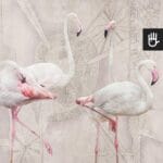Fototapeta Flamingi