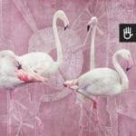 Fototapeta Różowe Flamingi