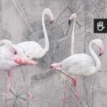 Fototapeta Szare Flamingi